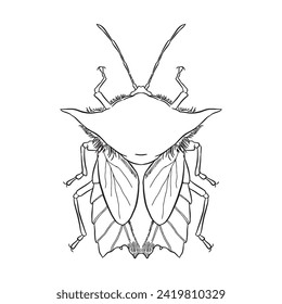 Bug insect sketch character 29 vector isolated