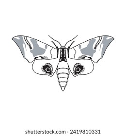 Bug insect sketch character 30 vector isolated