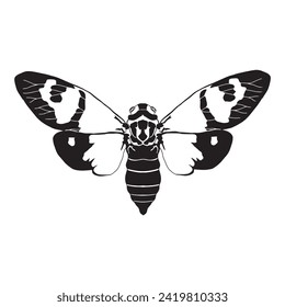 Bug insect sketch character 31 vector isolated on white