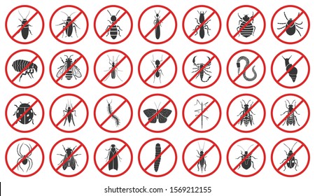 Bug of insect vector black set icon.Vector illustration insect beetle. Isolated black icon bug and fly beetle.