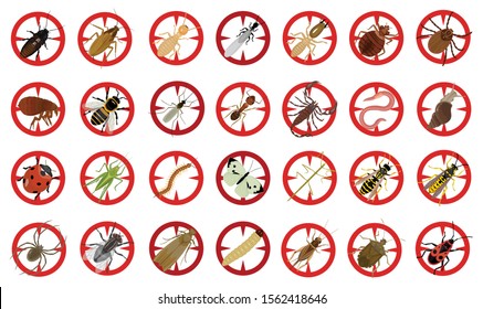 Bug of insect vector cartoon set icon.Vector illustration insect beetle. Isolated cartoon icon bug and fly beetle.