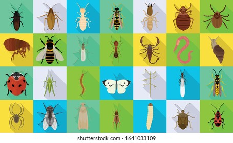 Bug of insect vector flat set icon.Vector illustration insect beetle. Isolated flat icon bug and fly beetle.