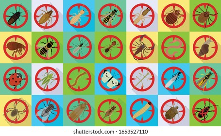Bug of insect vector flat set icon.Vector illustration insect beetle. Isolated flat icon bug and fly beetle.