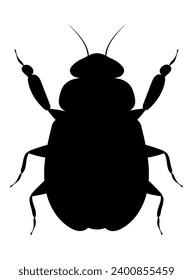 bug insects wildlife animals vector illustration isolated on white background
