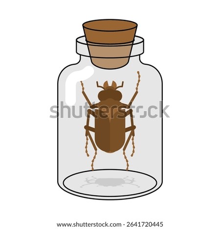 Bug inside glass jar. Alchemical experiment. Ancient spells. Witch's vessel