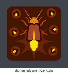 Bug light concept background. Cartoon illustration of bug light vector concept background for web design