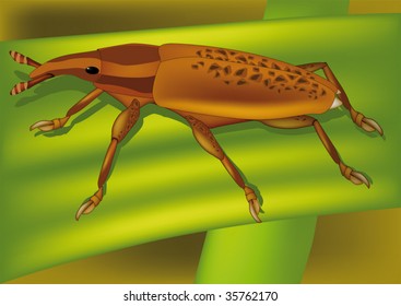 bug  on green leaf