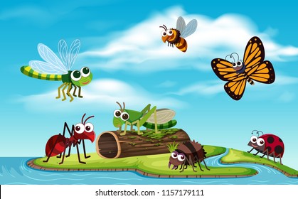 Bug on the island illustration