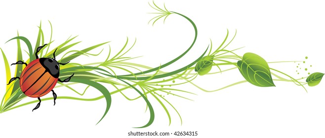Bug on the sprig. Vector