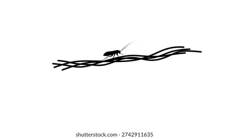 bug on the wire, black isolated silhouette