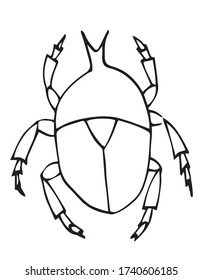 Bug outline vector, Isolated on white background, coloring page book.