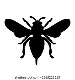 Bug silhouette isolated on white background. Shape of insect with wings. Black silhouette of beetle. Entomology or biology design element for poster, flyer, or book cover. Stock vector illustration