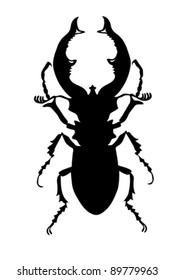 bug silhouette on white background, vector illustration