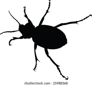 bug silhouette - vector