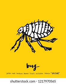 Bug sketch / Hand drawn insect illustration - vector