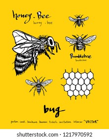Bug sketch / Hand drawn insect illustration - vector