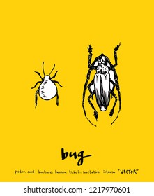 Bug sketch / Hand drawn insect illustration - vector