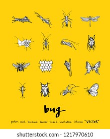 Bug sketch / Hand drawn insect illustration - vector