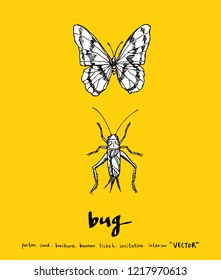 Bug sketch / Hand drawn insect illustration - vector
