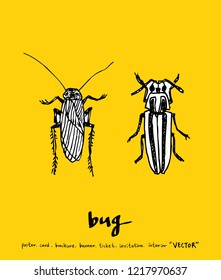 Bug sketch / Hand drawn insect illustration - vector