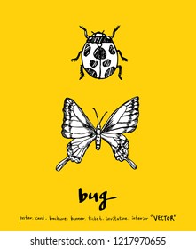 Bug sketch / Hand drawn insect illustration - vector