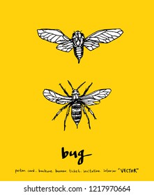 Bug sketch / Hand drawn insect illustration - vector