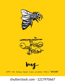 Bug sketch / Hand drawn insect illustration - vector