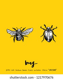 Bug sketch / Hand drawn insect illustration - vector