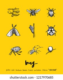 Bug sketch / Hand drawn insect illustration - vector