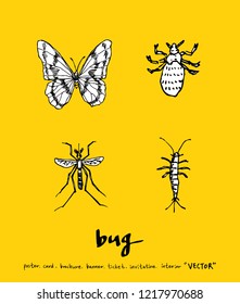 Bug sketch / Hand drawn insect illustration - vector