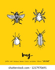 Bug sketch / Hand drawn insect illustration - vector