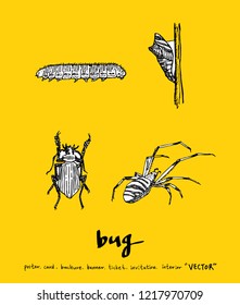 Bug sketch / Hand drawn insect illustration - vector