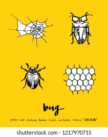 Bug sketch / Hand drawn insect illustration - vector