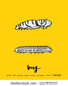 Bug sketch / Hand drawn insect illustration - vector