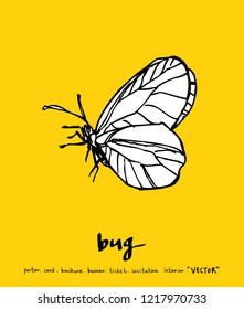 Bug sketch / Hand drawn insect illustration - vector