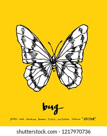 Bug sketch / Hand drawn insect illustration - vector