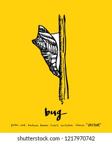 Bug sketch / Hand drawn insect illustration - vector