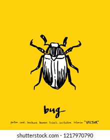 Bug sketch / Hand drawn insect illustration - vector