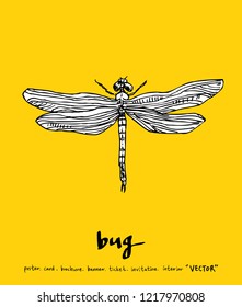Bug sketch / Hand drawn insect illustration - vector
