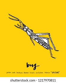 Bug sketch / Hand drawn insect illustration - vector
