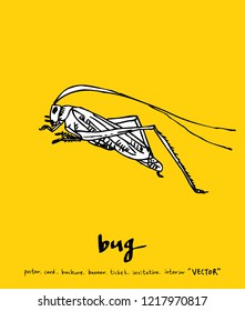 Bug sketch / Hand drawn insect illustration - vector