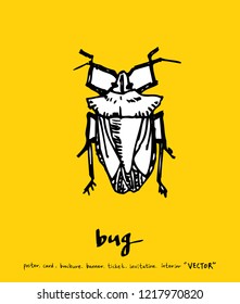 Bug sketch / Hand drawn insect illustration - vector