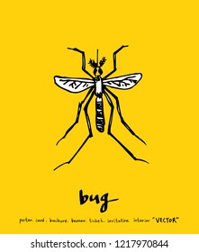 Bug sketch / Hand drawn insect illustration - vector