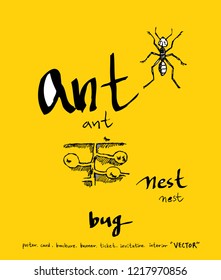 Bug sketch / Hand drawn insect illustration - vector
