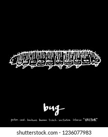 Bug sketch / Hand drawn insect illustration - vector