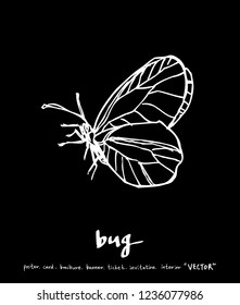 Bug sketch / Hand drawn insect illustration - vector