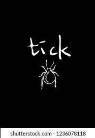 Bug sketch / Hand drawn insect illustration - vector
