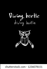 Bug sketch / Hand drawn insect illustration - vector