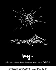 Bug sketch / Hand drawn insect illustration - vector