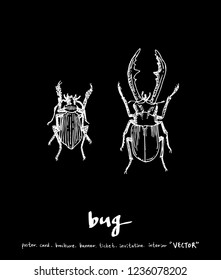 Bug sketch / Hand drawn insect illustration - vector